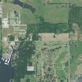Dead deer found in water at lakeside cove