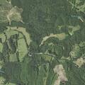Person with laceration near Cedar Road in Ringgold