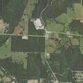 Dog loose in roadway at State Highway 86