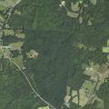 Fire call canceled near Virgilina Road