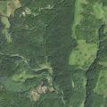 Search underway for person who fell near Big Horse Creek