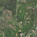 Single-car crash into tree on Black Feather Trail