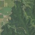 85-year-old female reported unconscious near Cassville