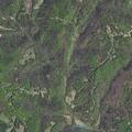 Welfare check requested near Hoot Hollow Road