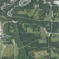 Loose horses reported near State Highway BB