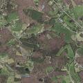 Person recorded without permission at Galax home