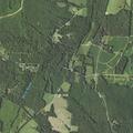 Subject checked by EMS with law enforcement near Virginia