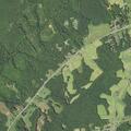 Person experienced a fall with no injury at Kentuck Rd