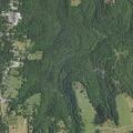 Welfare check at residence in Kirbyville