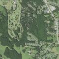 82-year-old woman with back injury at Ridgecrest Drive