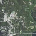 Welfare check for person in wooded area near Dollar General