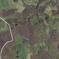 Elderly woman with altered mental status near Meadows of Dan