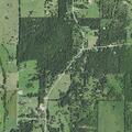 Elderly man injured in single vehicle crash