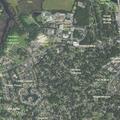 Person reported sick near Alpine Court