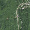 Injured deer reported on Kentucky 92 near Williamsburg