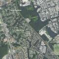 Person reported sick at apartment on Beech Tree Road