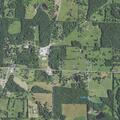 Juvenile runs into woods near West Plains home