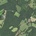 Illness reported near Mount Tabor Road