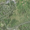 SUV hits bear on Glove Drive, injuries unknown