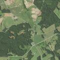 Small brush fire reported on Irish Road