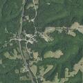 Vehicle hits deer on US 160 near Reeds Spring