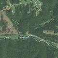 Loose cows reported on Railey Creek Road