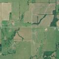 Vehicle leaves road and damages fence, cattle loose
