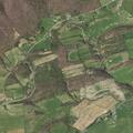 Man experiencing chest and left arm pain in Rural Retreat