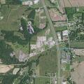 Dog loose on US 45 near Grover in Hickory