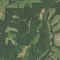 Boy's arm stuck in chair at Farm Road 1153
