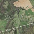 Female having seizure in pasture near Lead Mine Road