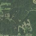 Person with breathing problems at Wheeler Branch Rd