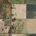 Person severely ill near Raccoon Road, Baker