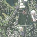 Elderly man vomiting and shaking at Harbour View Blvd