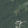 Possible domestic dispute at University Forest Drive