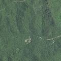 Poaching investigation after multiple deer found dead