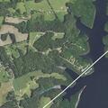 Man injured after tree falls and he falls off bluff