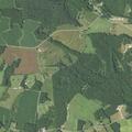 Unconscious patient near Watlington Road and Piney Grove Road