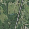 Elderly woman falls, possible head and arm injuries