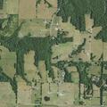 Person with heart problems near Spring Hill Road