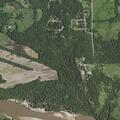 Bicyclist injured by fallen tree at Camp Horizon