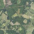 Female with collarbone injury after fall in Pittsylvania