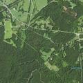 Elderly female fallen overnight with leg pain near Sandy Creek Road