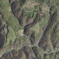 Woman fell near Pine Creek Road, EMS dispatched