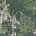 Person having a seizure near East Oakwood Drive in Nixa