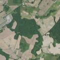 Elderly woman found disoriented after fall in Kentucky