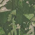 Person reported ill near White Oak Road