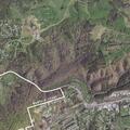 Woman with agonal breathing in Christiansburg
