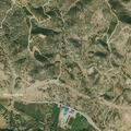 Cows reported on roadway on Highway 12