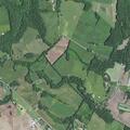 Loose cow reported on Brownsville Road